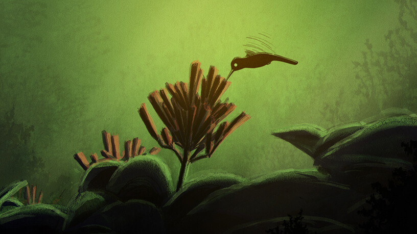 La Légende du colibri