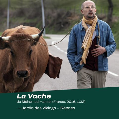 La Vache de Mohamed Hamidi