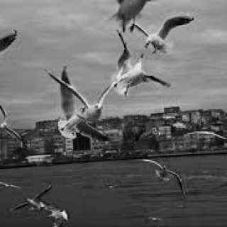Fragments Istanbul