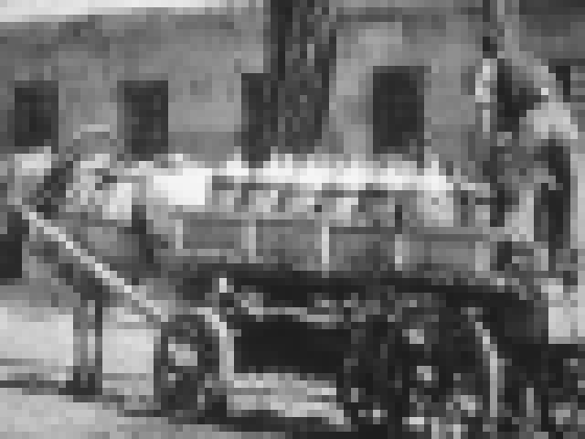 1829.jpg
