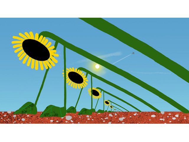 Tournesol 1.jpg