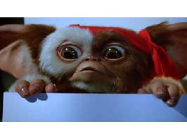 gremlins2.jpeg