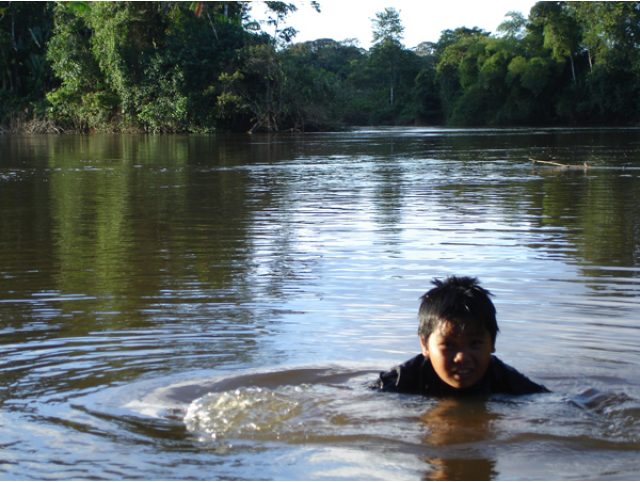 guyane.jpeg