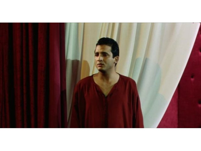 tanjaoui 1.jpg