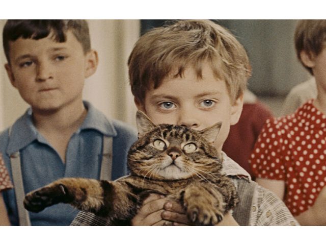 un-jour-un-chat1.jpg