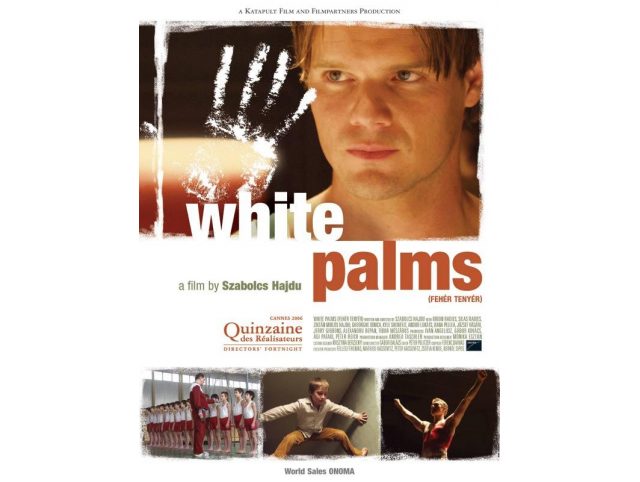 white palms.jpeg