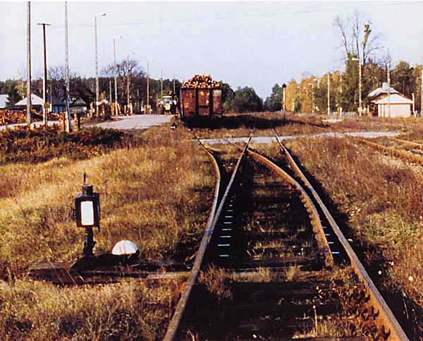 1349.jpg