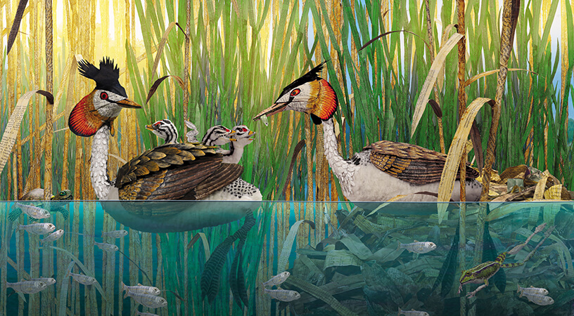 Bonjourlemonde 1.jpg