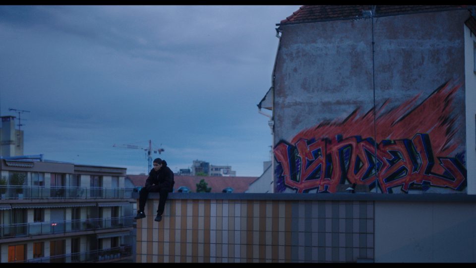 Vandal.jpg