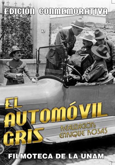 automovilgris.jpg