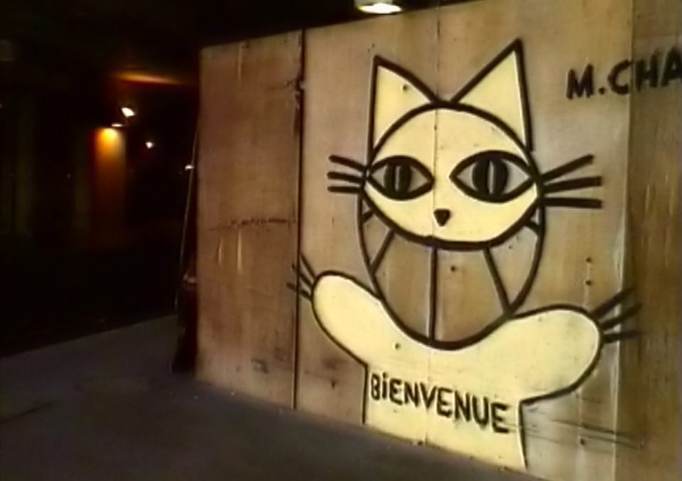 chats perches mrchat2.jpg