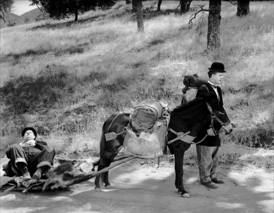 laurel et hardy au far west.jpg