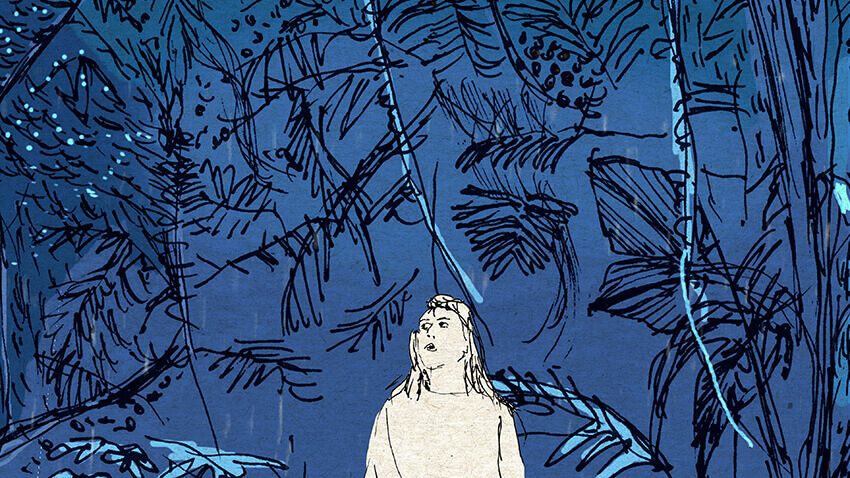 photos à partir de T25 cc cheveux.jpg