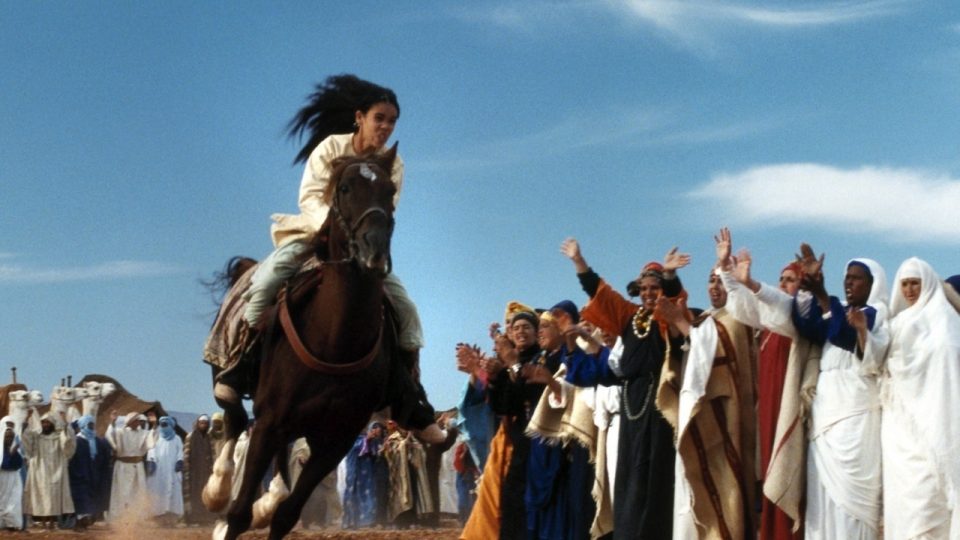 zainacavaliere 1.jpg