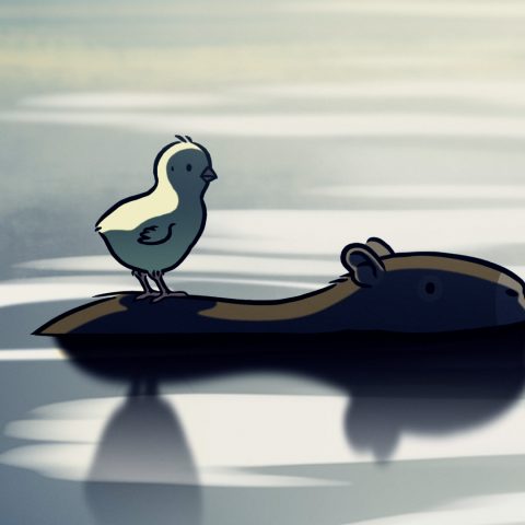 L'arrivée des Capybaras