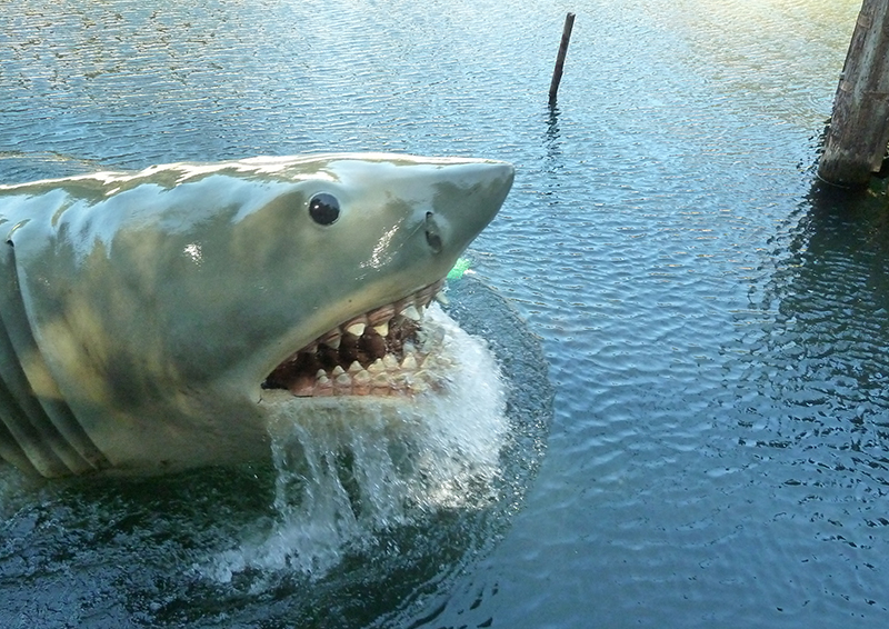 "Les Dents de la mer" de Steven Spielberg, le jeudi 19 avril à Brest