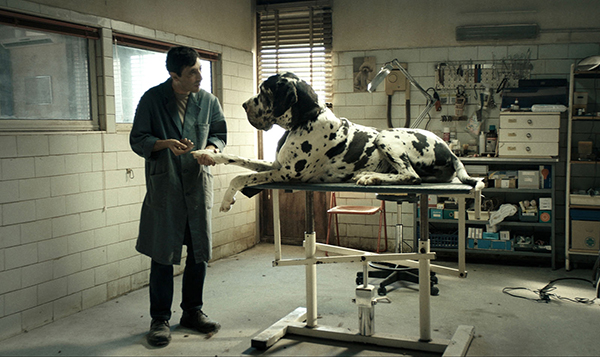 "Dogman" de Matteo Garrone
