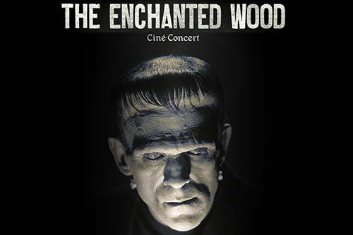 Ciné-concert Frankenstein par The Enchanted Wood