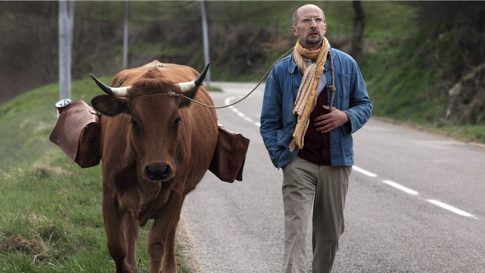 "La Vache" de Mohamed Hamidi 