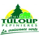 Tuloup Tuloup
