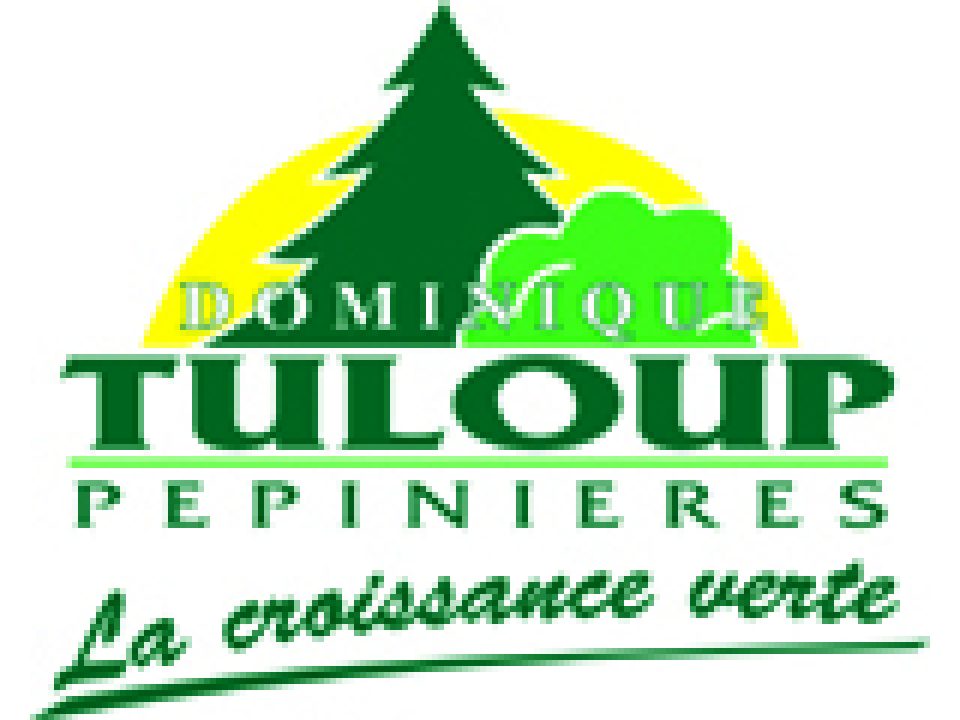 Tuloup