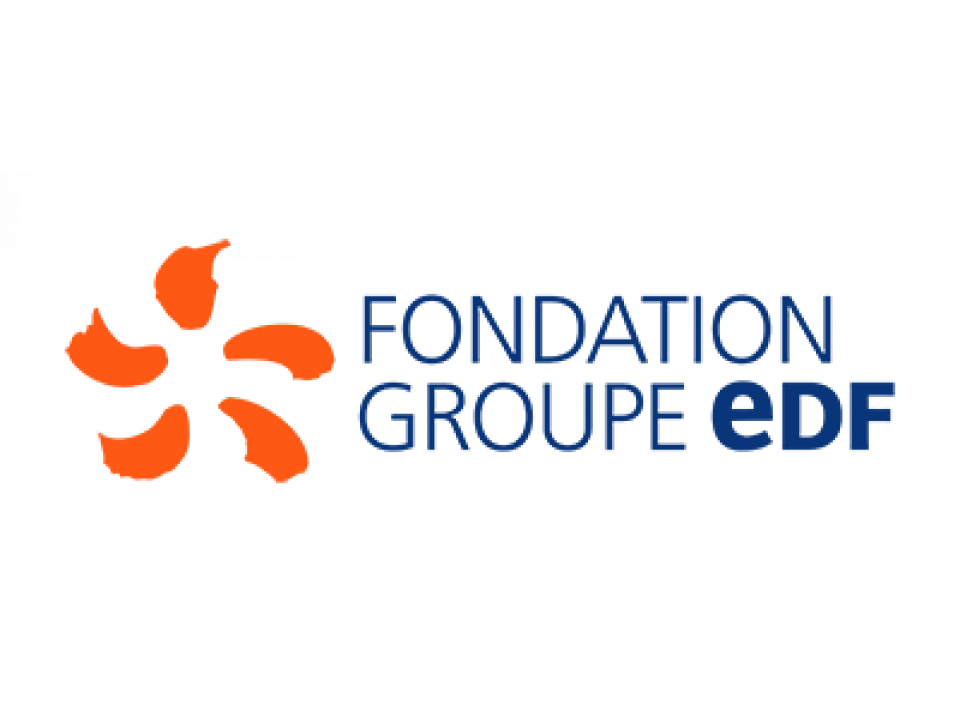 Fondation groupe EDF