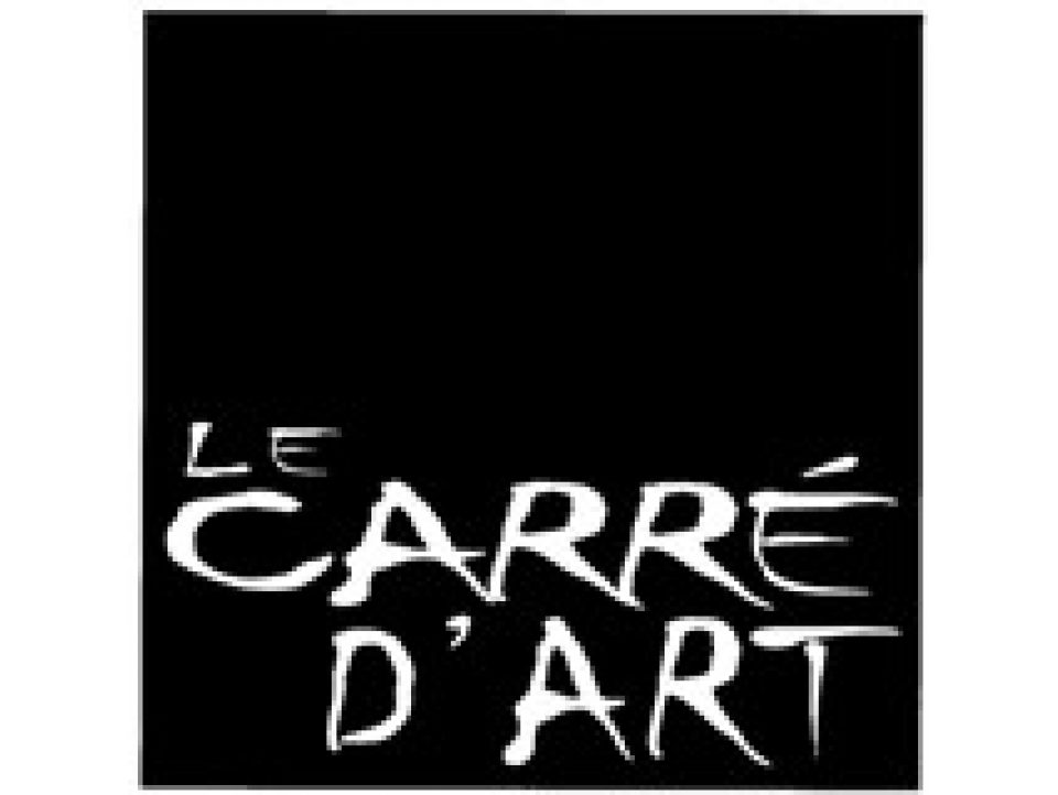 Galerie Le Carré d'Art - Centre Culturel Pôle Sud