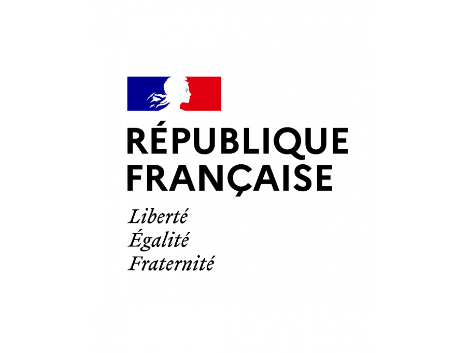 logoinstitut français.png